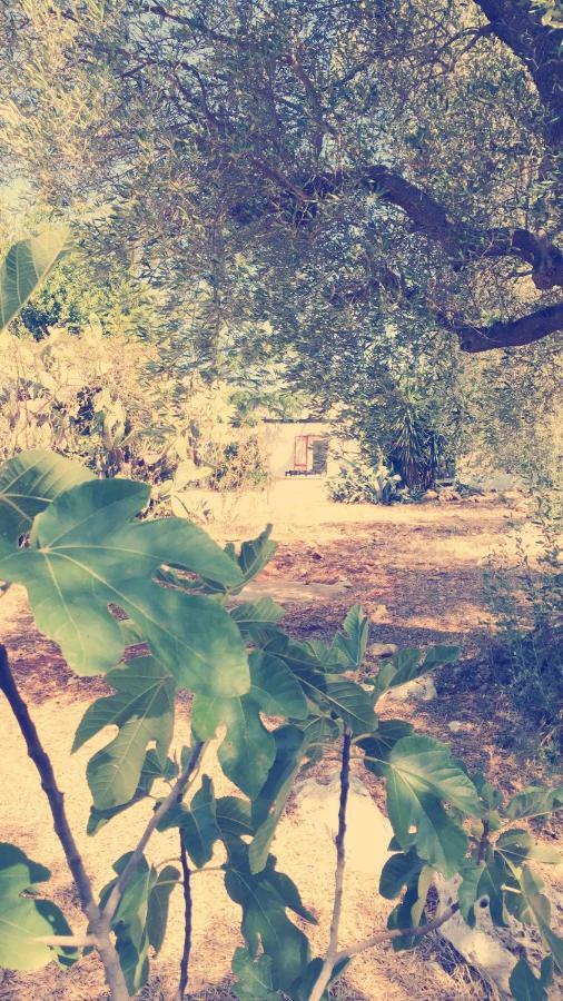 Villa Trullo Riccardo Ostuni Exterior foto