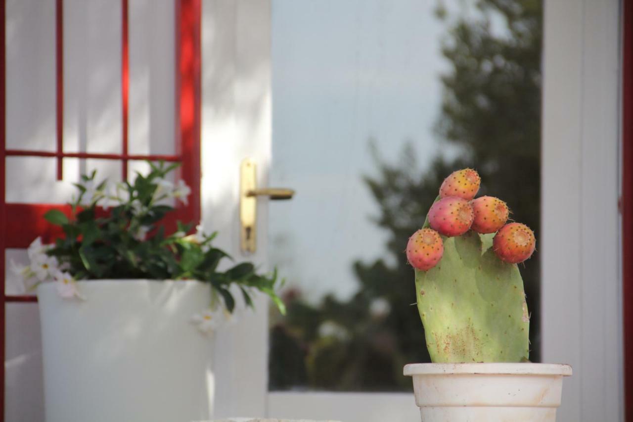 Villa Trullo Riccardo Ostuni Exterior foto